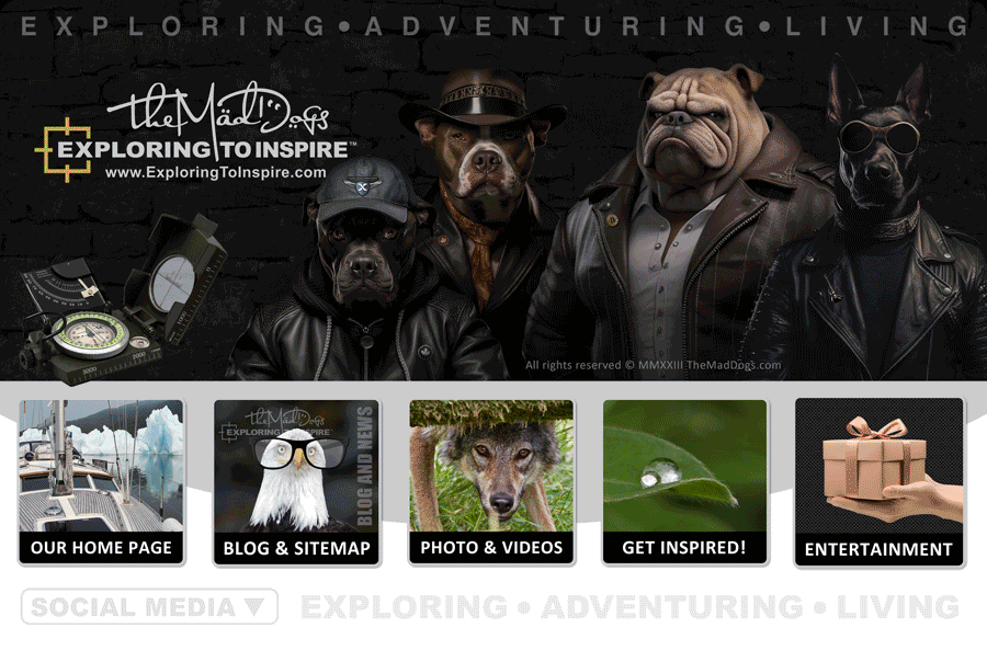 Welcome to the official website of The Mad Dogs!