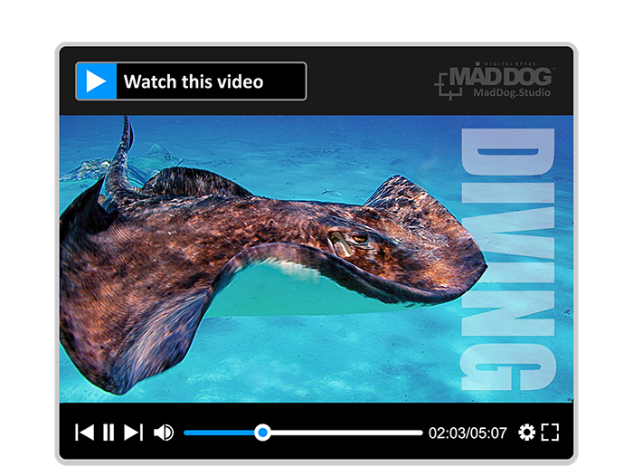 Watch our Mad Dog Diving photo album